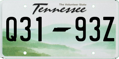 TN license plate Q3193Z