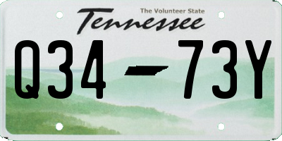 TN license plate Q3473Y