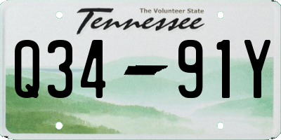 TN license plate Q3491Y