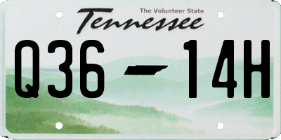 TN license plate Q3614H