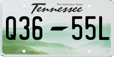 TN license plate Q3655L