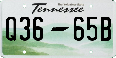 TN license plate Q3665B