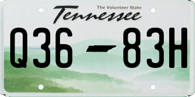 TN license plate Q3683H
