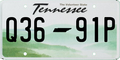 TN license plate Q3691P