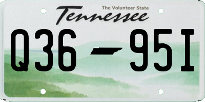 TN license plate Q3695I