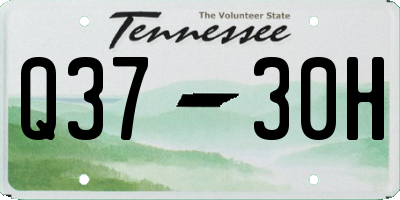 TN license plate Q3730H