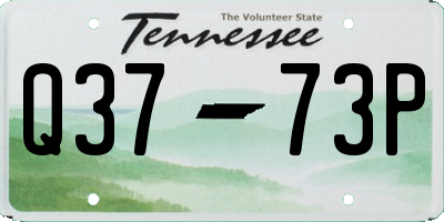 TN license plate Q3773P