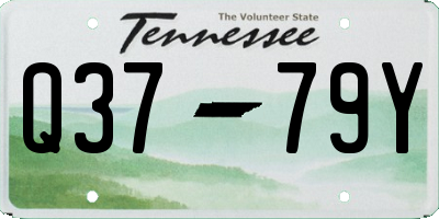 TN license plate Q3779Y