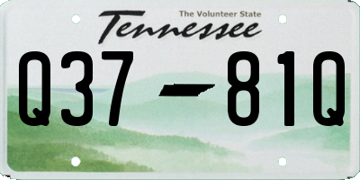 TN license plate Q3781Q