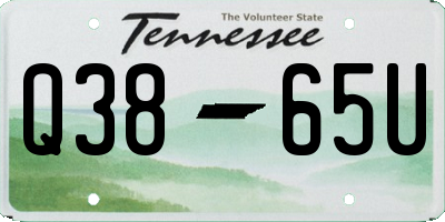 TN license plate Q3865U