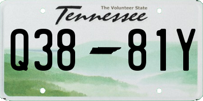 TN license plate Q3881Y