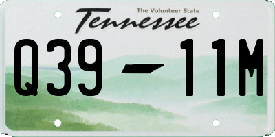 TN license plate Q3911M