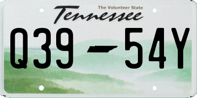 TN license plate Q3954Y