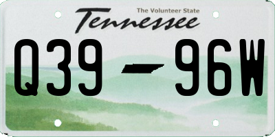 TN license plate Q3996W