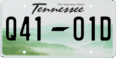 TN license plate Q4101D