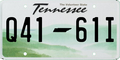 TN license plate Q4161I