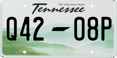 TN license plate Q4208P
