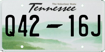 TN license plate Q4216J