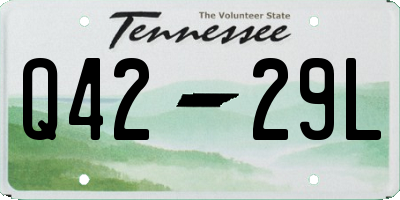 TN license plate Q4229L