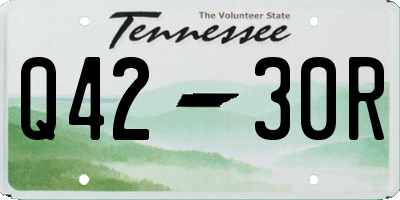 TN license plate Q4230R