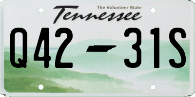 TN license plate Q4231S