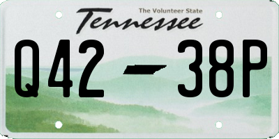 TN license plate Q4238P