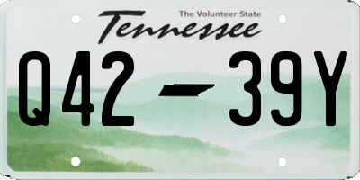 TN license plate Q4239Y