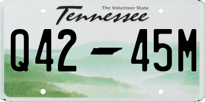 TN license plate Q4245M
