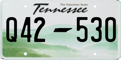 TN license plate Q4253O
