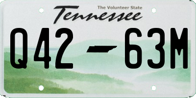 TN license plate Q4263M