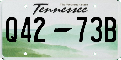 TN license plate Q4273B
