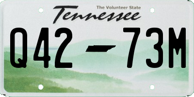 TN license plate Q4273M