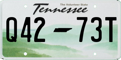 TN license plate Q4273T