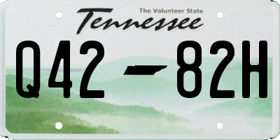 TN license plate Q4282H