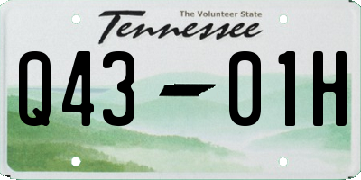 TN license plate Q4301H