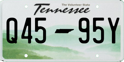 TN license plate Q4595Y