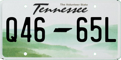TN license plate Q4665L