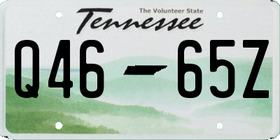TN license plate Q4665Z
