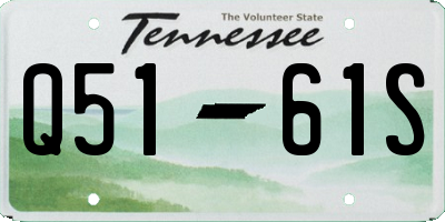 TN license plate Q5161S