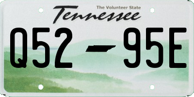 TN license plate Q5295E