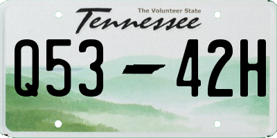 TN license plate Q5342H