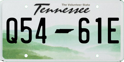 TN license plate Q5461E
