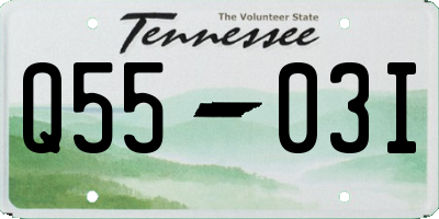 TN license plate Q5503I