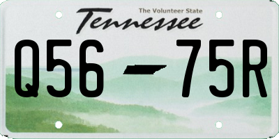 TN license plate Q5675R