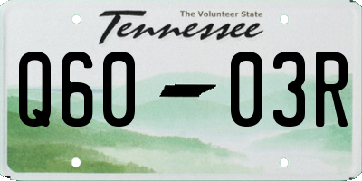 TN license plate Q6003R