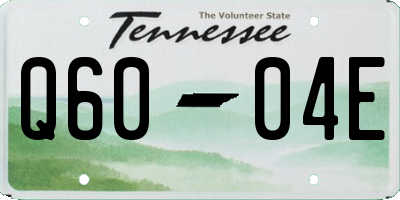 TN license plate Q6004E