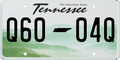 TN license plate Q6004Q