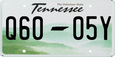 TN license plate Q6005Y