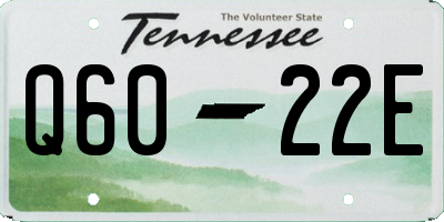TN license plate Q6022E