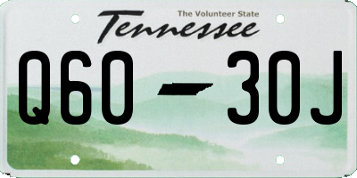 TN license plate Q6030J